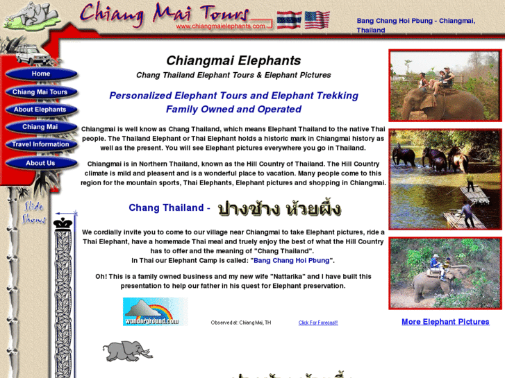 www.chiangmaielephants.com