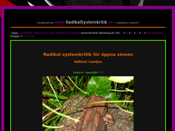 www.radikalsystemkritik.se