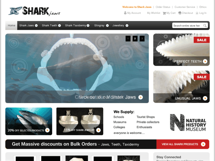 www.shark-jaws.co.uk