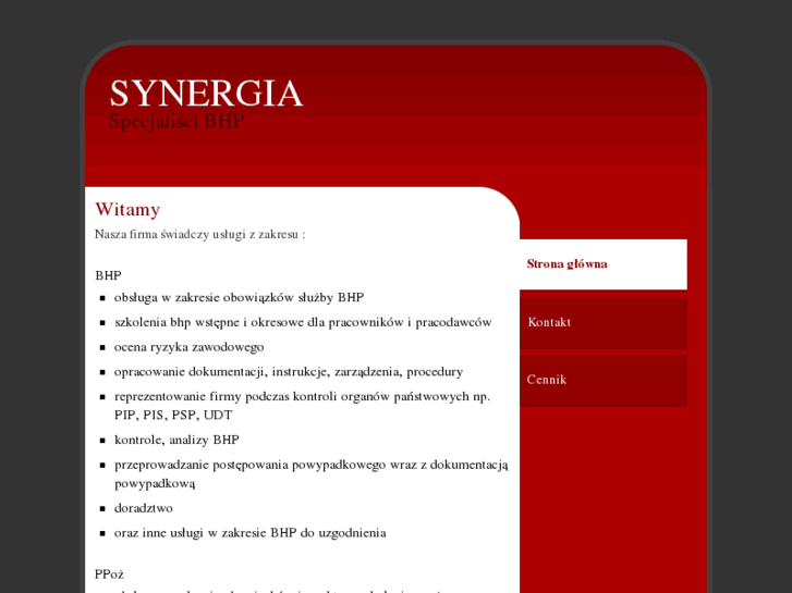 www.synergia-bhp.pl