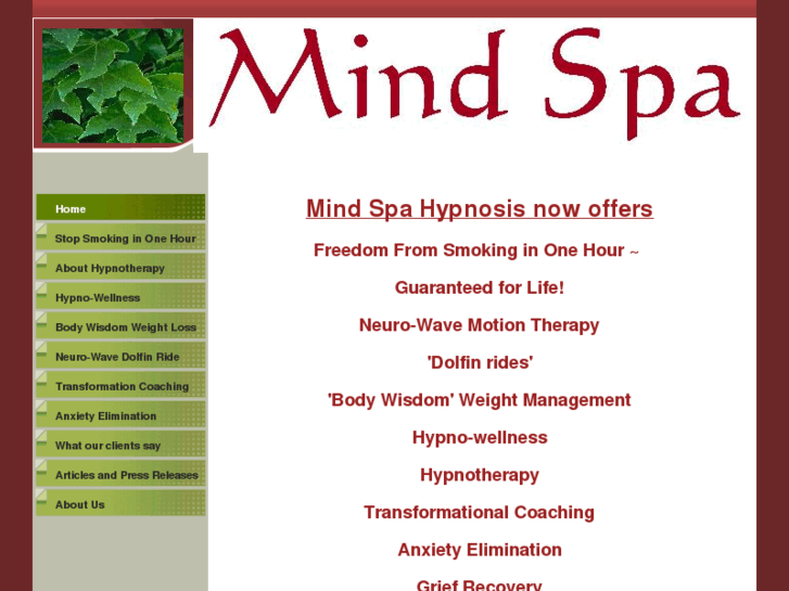 www.the-mindspa.com