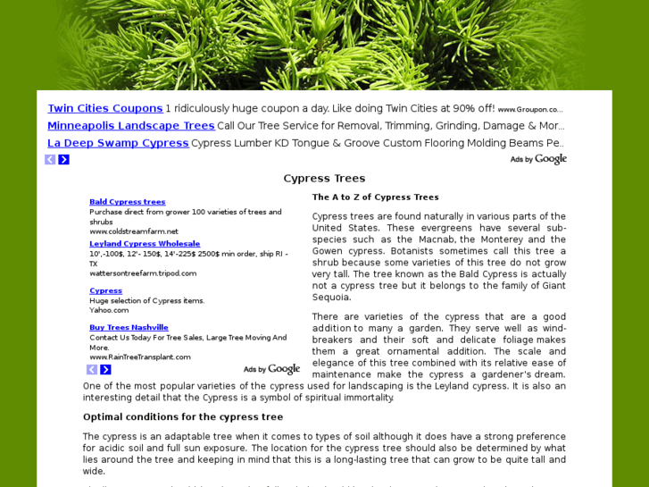 www.cypresstrees.org