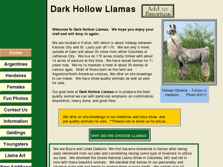 www.darkhollowllamas.com