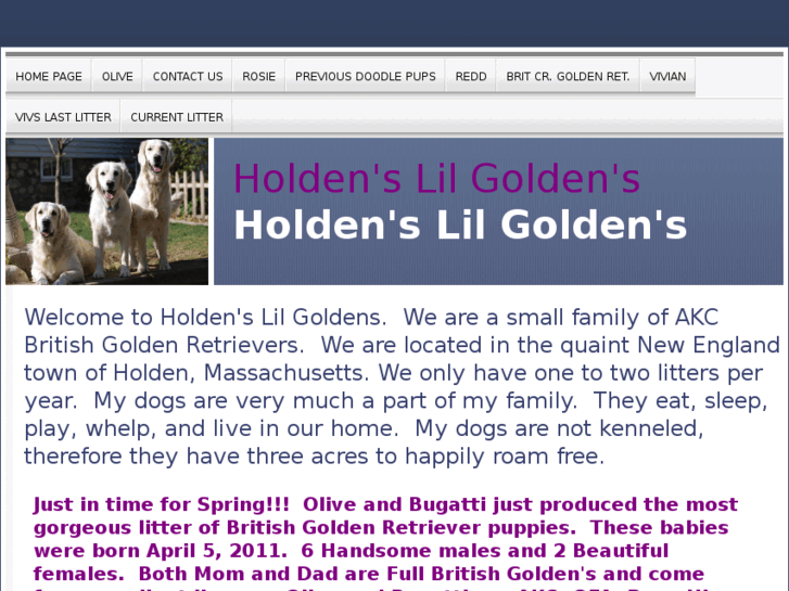 www.holdenslilgoldens.com