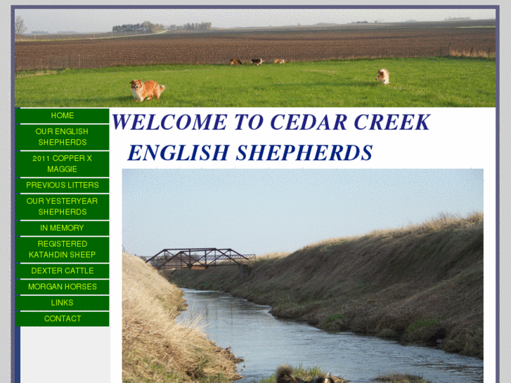 www.cedarcreekenglishshepherds.com