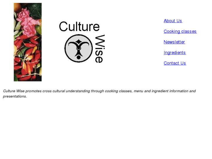 www.culture-wise.com