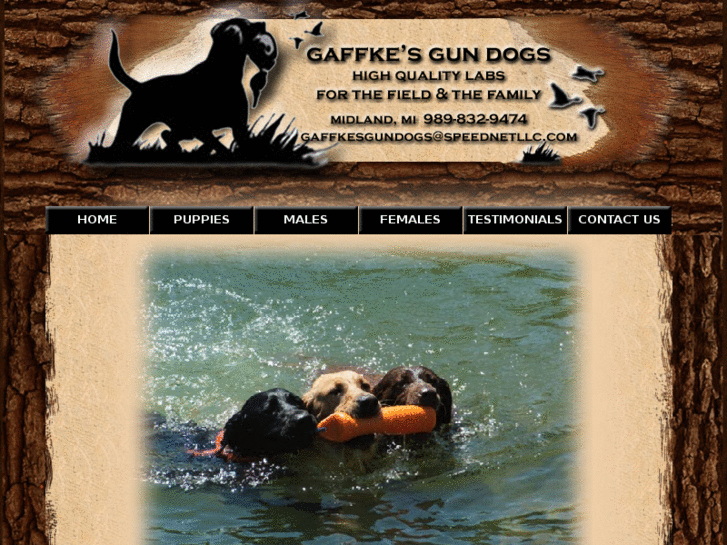 www.gaffkesgundogs.com