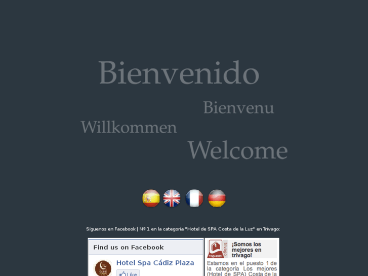 www.hotelcadizplaza.com