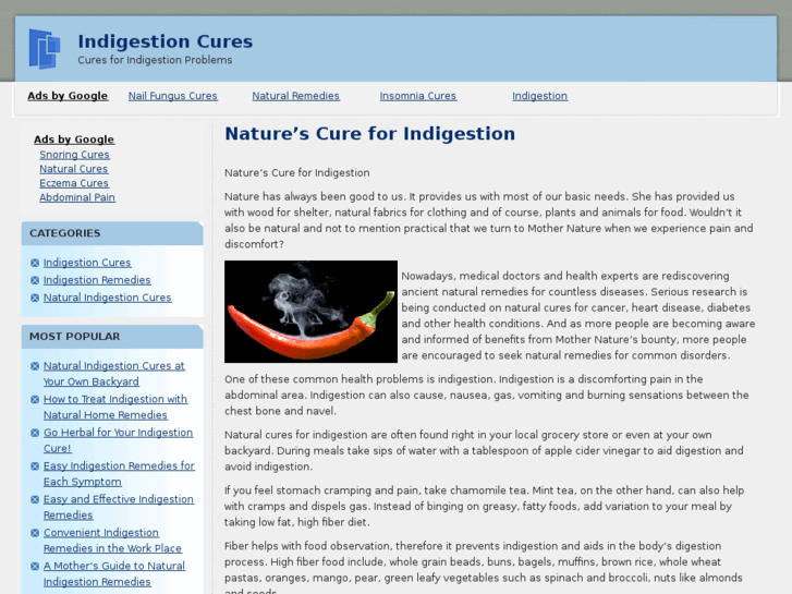 www.indigestioncures.net