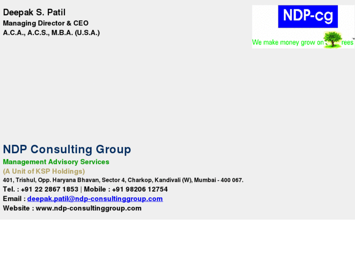 www.ndp-consultinggroup.com