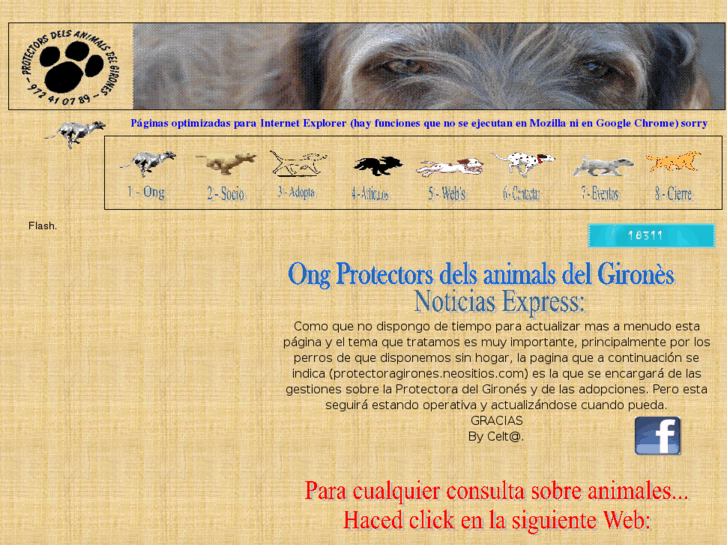 www.protectoragirones.es