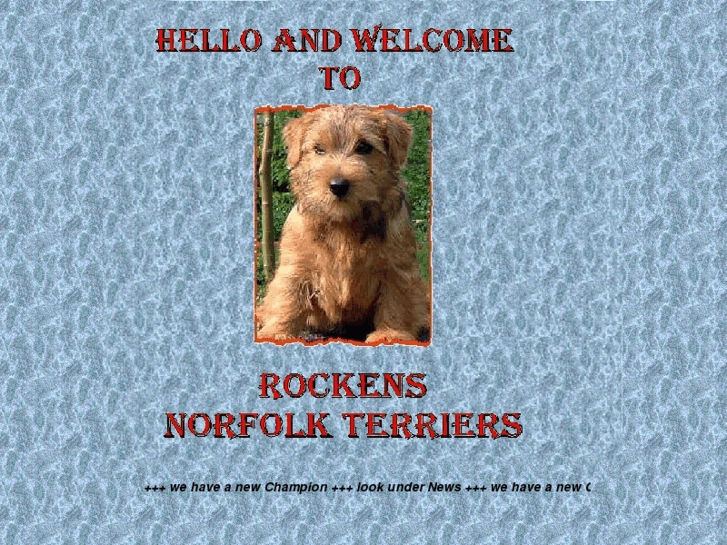 www.rockens-norfolkterrier.com