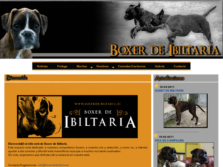 www.boxerdeibiltaria.es