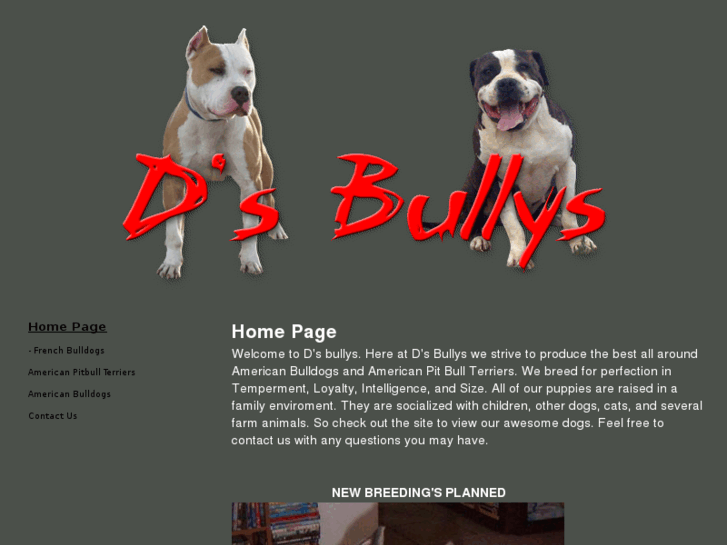 www.dsbullys.com