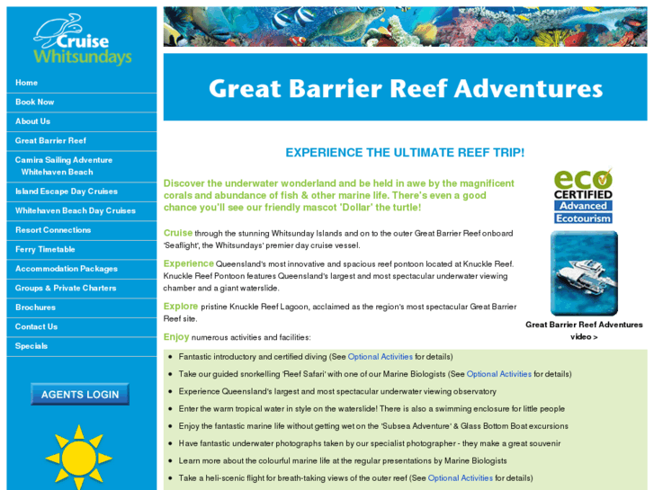 www.greatbarrierreefadventures.com