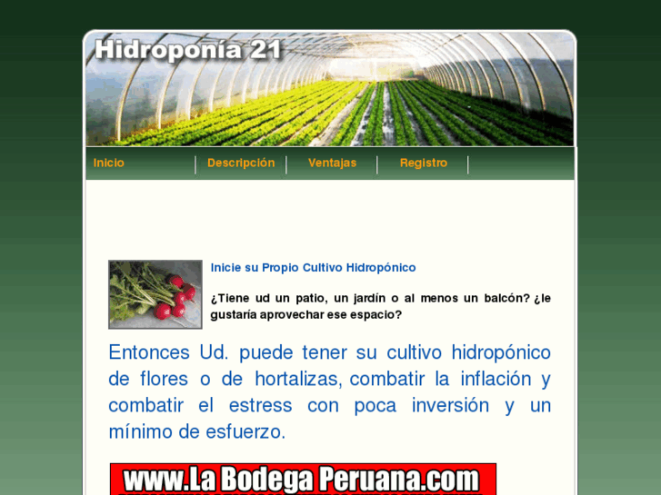 www.hidroponia21.net