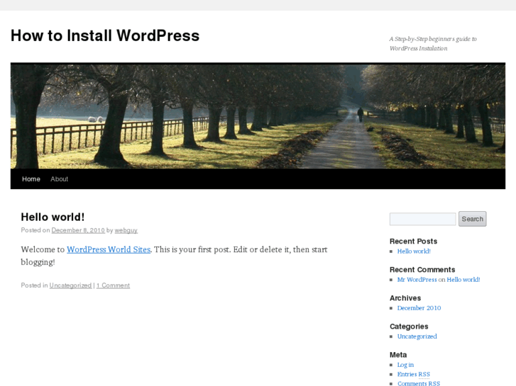 www.howtoinstallwp.com