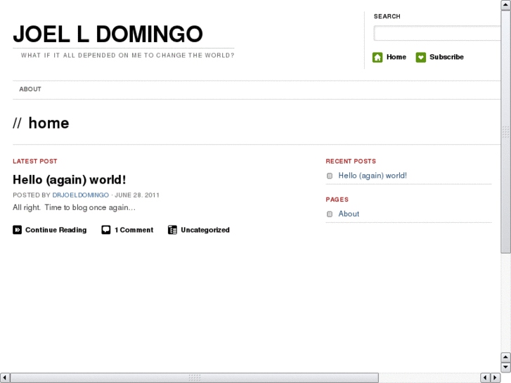 www.joeldomingo.com