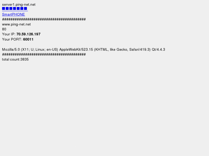 www.ping-net.net
