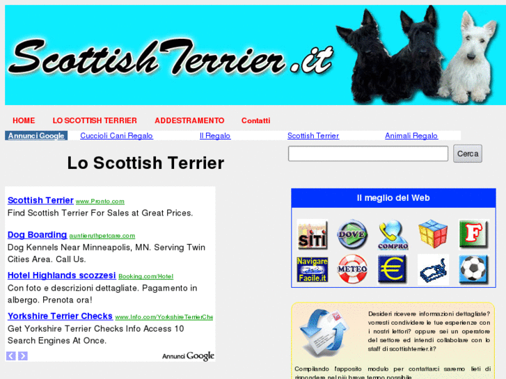 www.scottishterrier.it