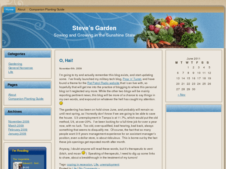 www.stevencochran.com