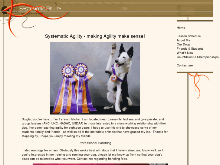 www.systematic-agility.com