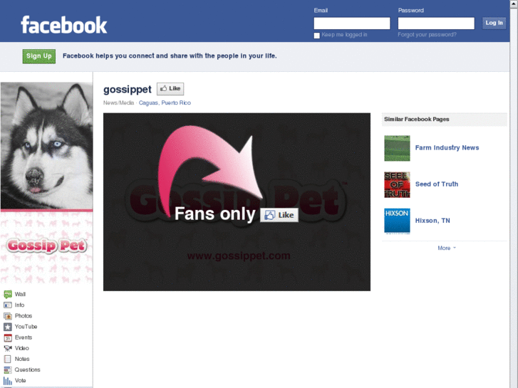 www.gossippet.net