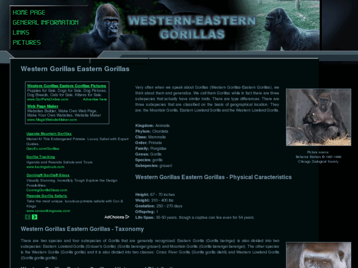 www.western-gorillas-eastern-gorillas.com