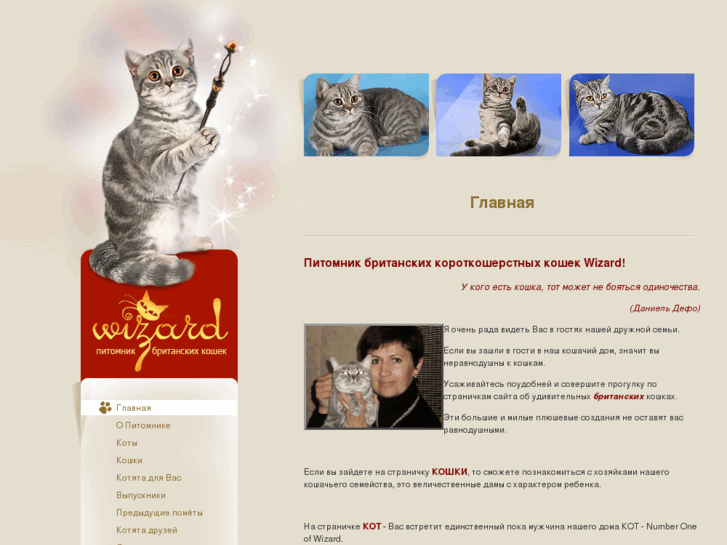 www.wizardcats.com