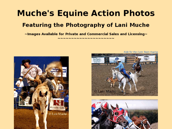 www.equineactionphotos.com