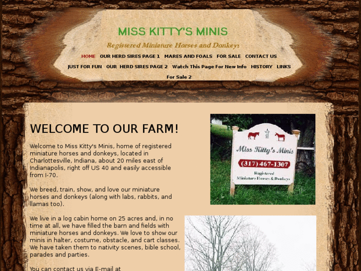 www.misskittysminis.com