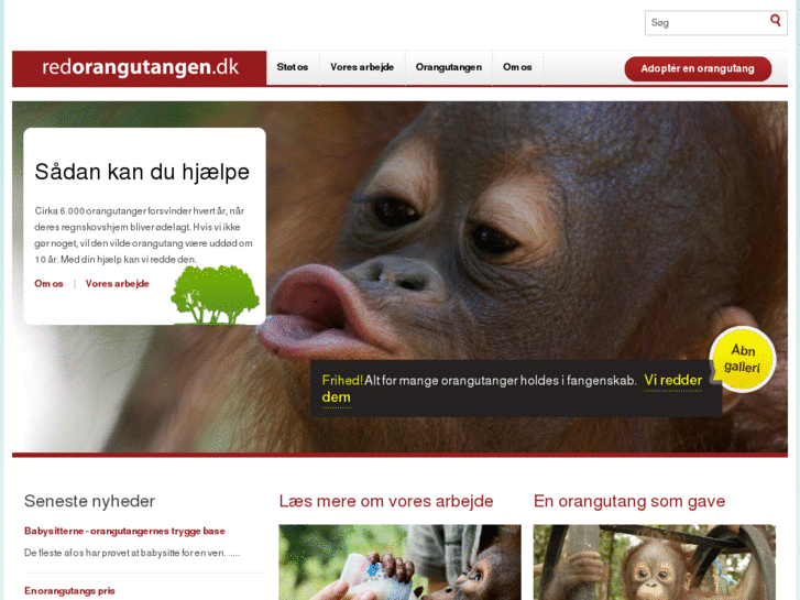 www.redorangutangen.dk