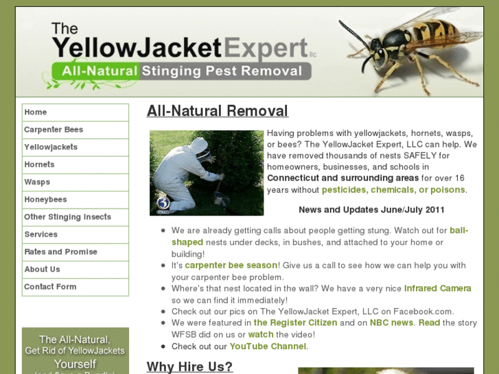 www.theyellowjacketexpert.com