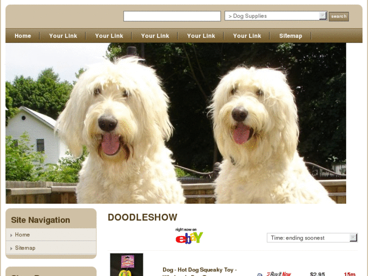 www.doodleshow.com