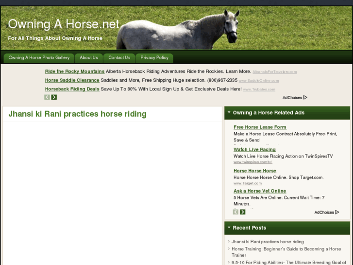 www.owningahorse.net
