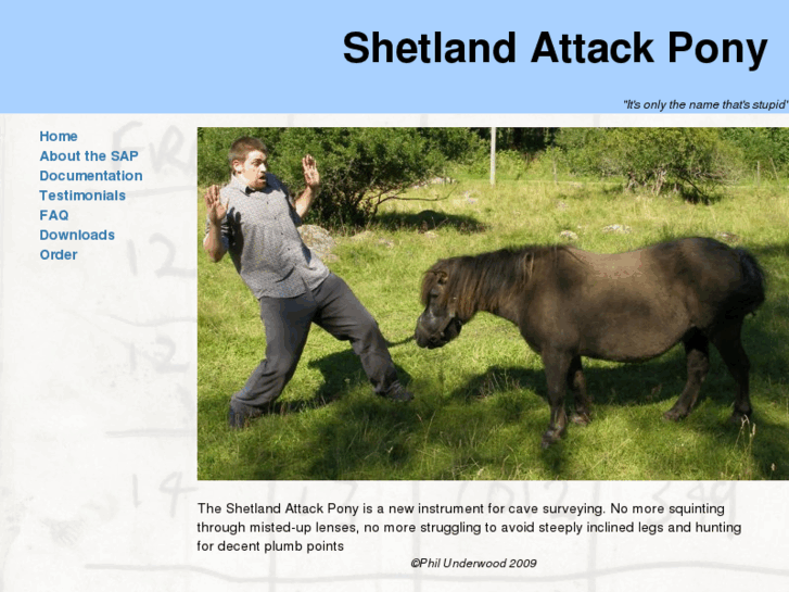 www.shetlandattackpony.co.uk