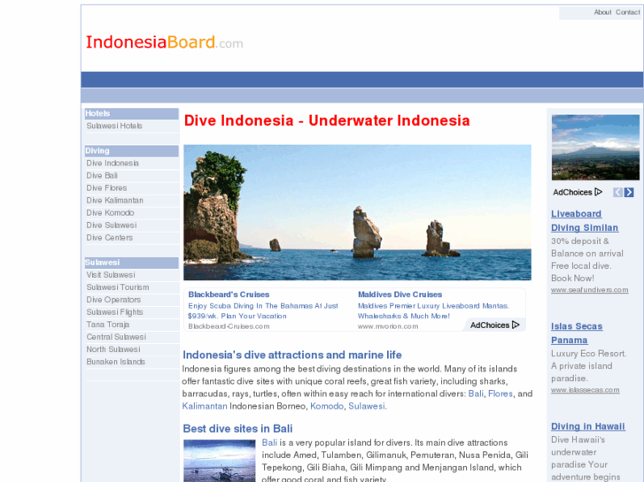 www.underwaterindonesia.com