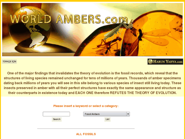 www.worldambers.com