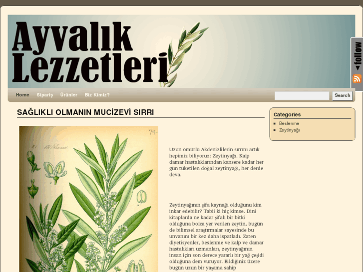 www.ayvaliklezzetleri.com