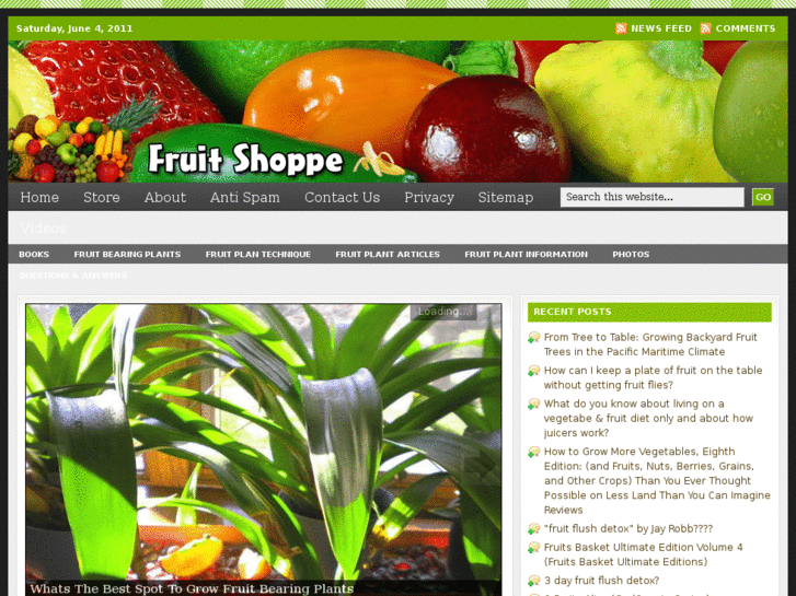 www.fruitshoppe.com