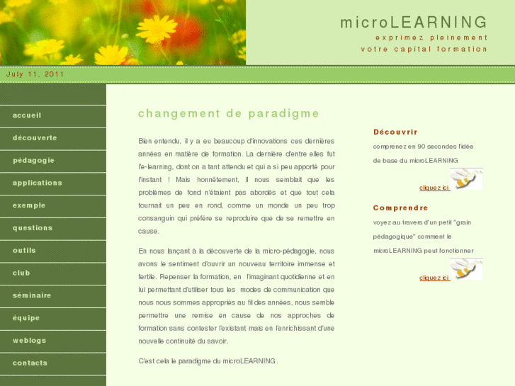www.microlearning.net