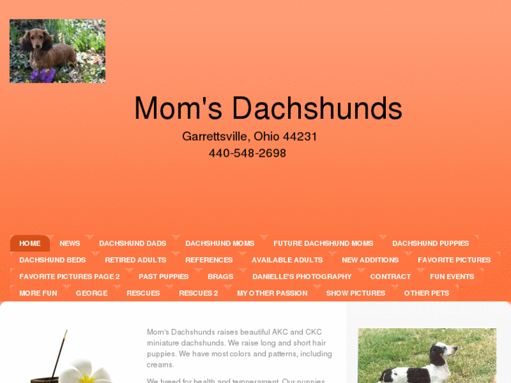 www.momsdachshunds.com