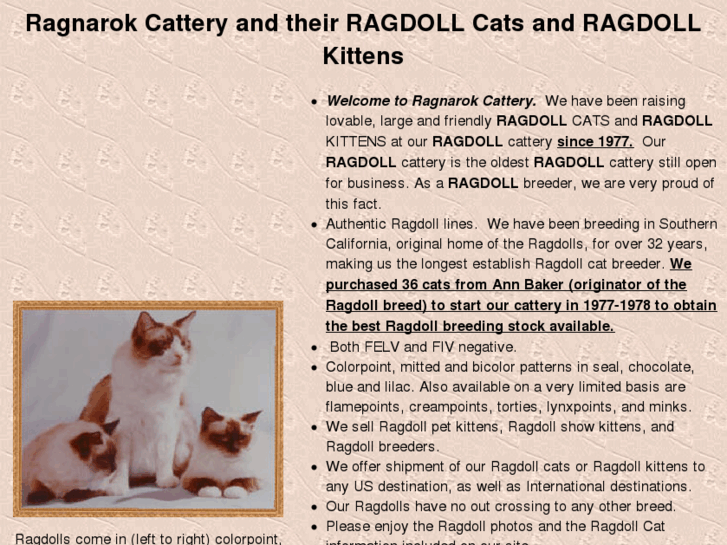 www.ragdoll.com