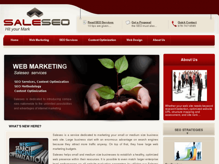 www.saleseo.com