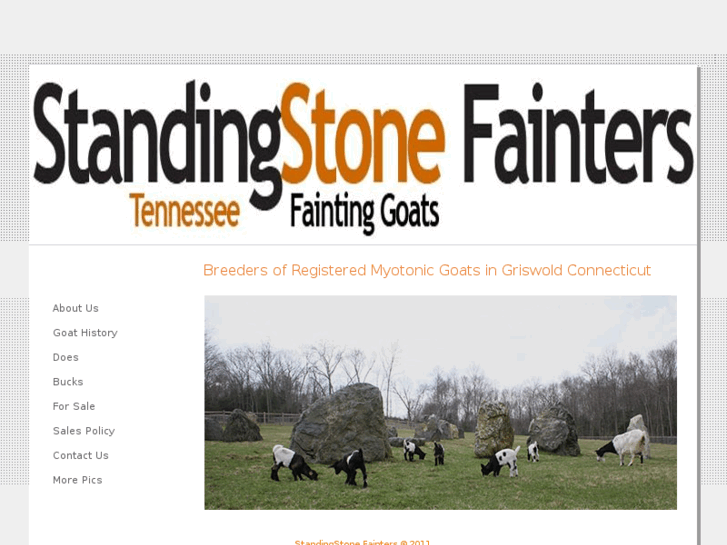 www.standingstonefainters.com