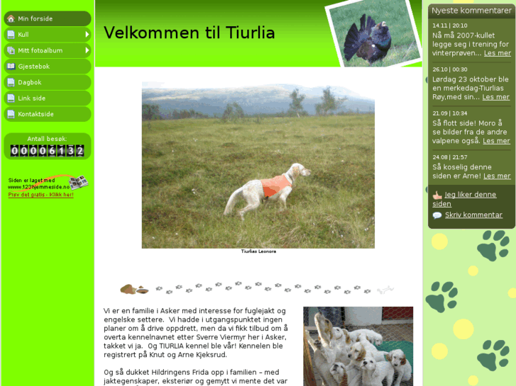 www.tiurlia.com