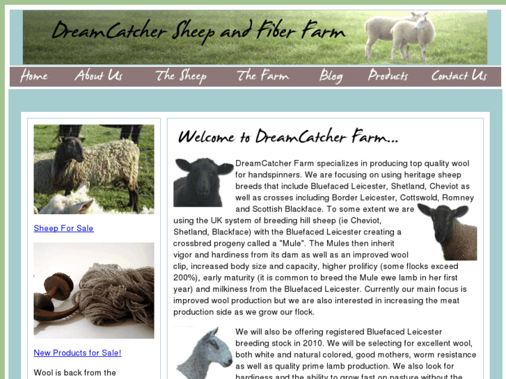 www.dreamcatchersheep.com