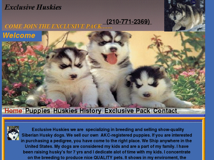 www.exclusivehuskies.com