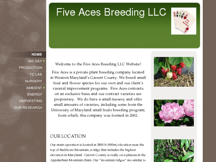 www.fiveacesbreeding.com