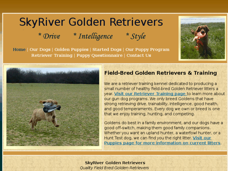 www.49northgoldenretrievers.com